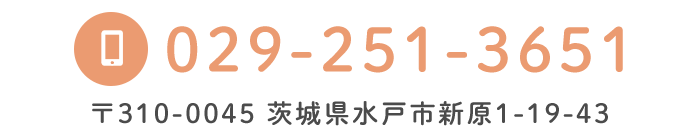 電話番号：029-251-3651